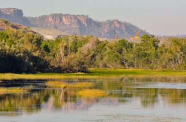 Northern Territory environmental