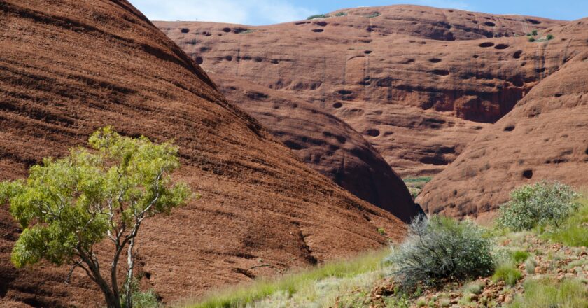 An iron ore mine in the NT's Roper Valley has been stabilised following a payment of more than $400,000 by the NT Government.